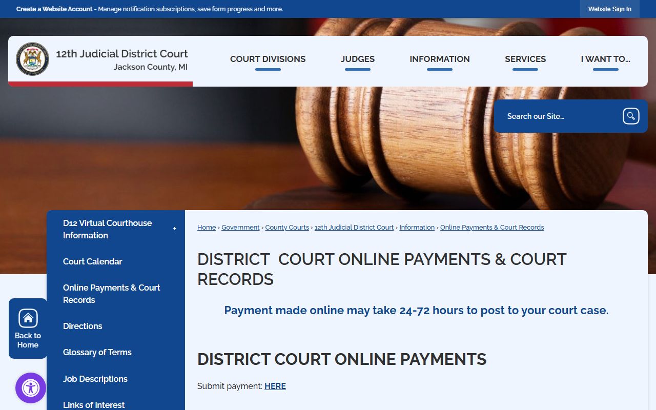Jackson County court records after arrest District Court case lookup page